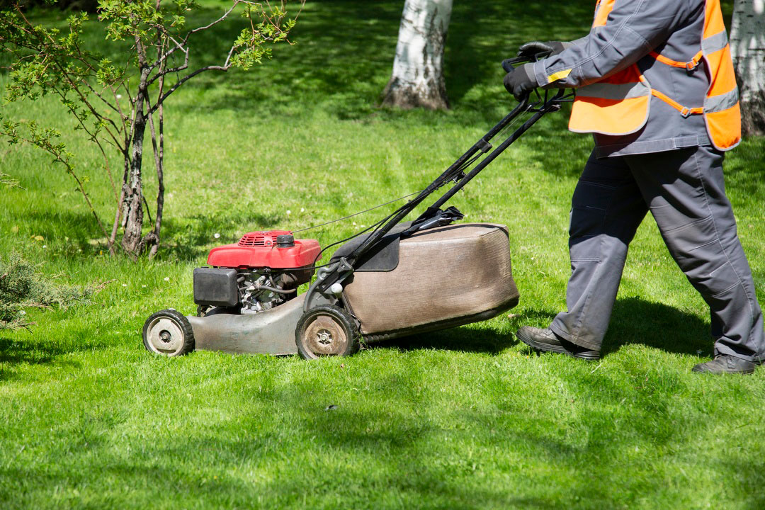 Reliable Lawn Service Lawn Service